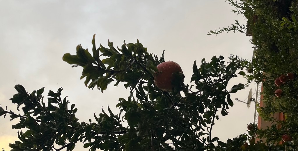 gömülü çatı katı